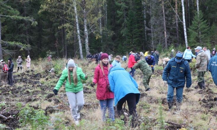Высадка деревьев в рамках всероссийской акции «Живи, лес!».