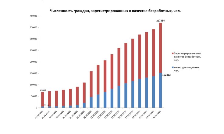 численность