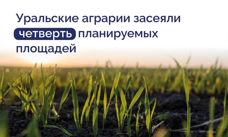 Уральские аграрии засеяли четверть планируемых площадей