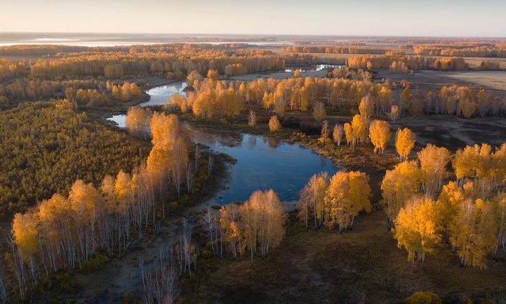 В Курганской области пройдет фестиваль фотографии на природе «Nature Photo Camp»