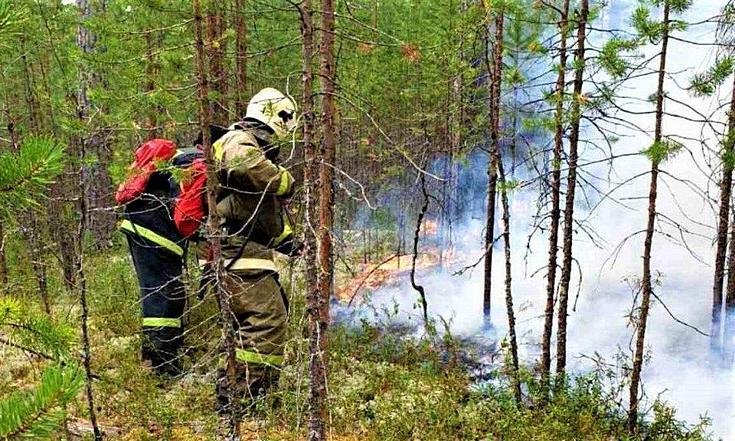 Пожары паводки 170720