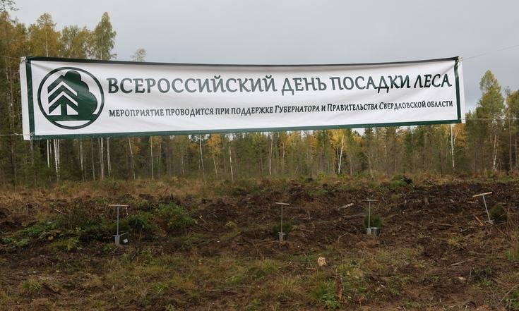 Высадка деревьев в рамках всероссийской акции «Живи, лес!».