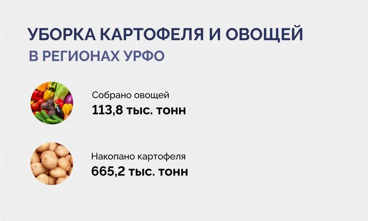 В Уральском федеральном округе намолочено 6 миллионов тонн зерна