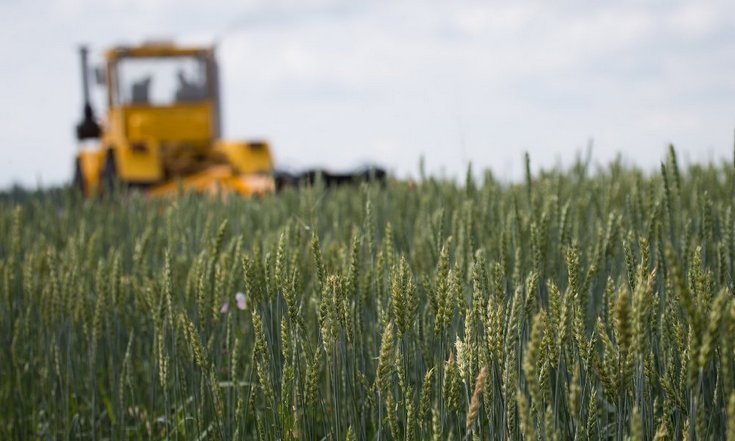 В Челябинской области набирает темпы уборка зерна