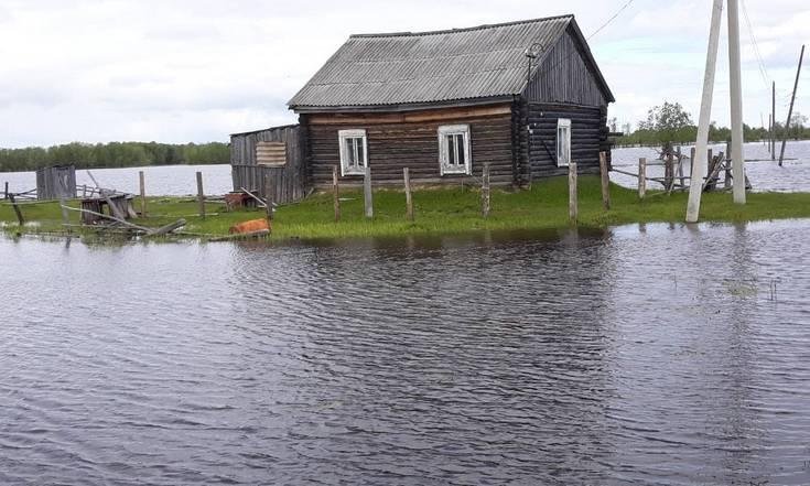 Подтопления и лесопожары 110620