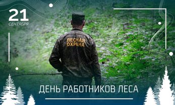 День работников леса