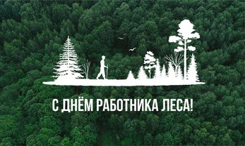 18 сентября – День работников леса